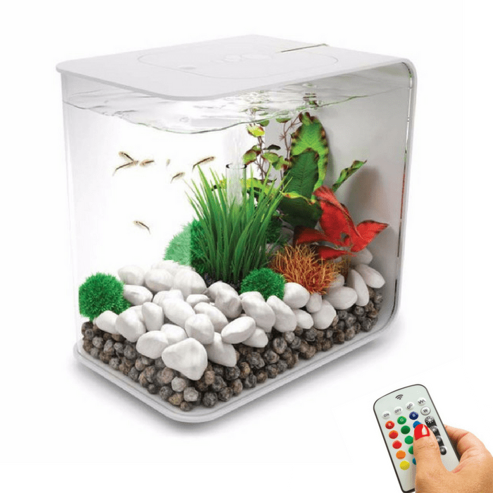 biOrb Flow 15L / 4 Gallon All-in-One Acrylic Aquarium Kit with Multicolor Light