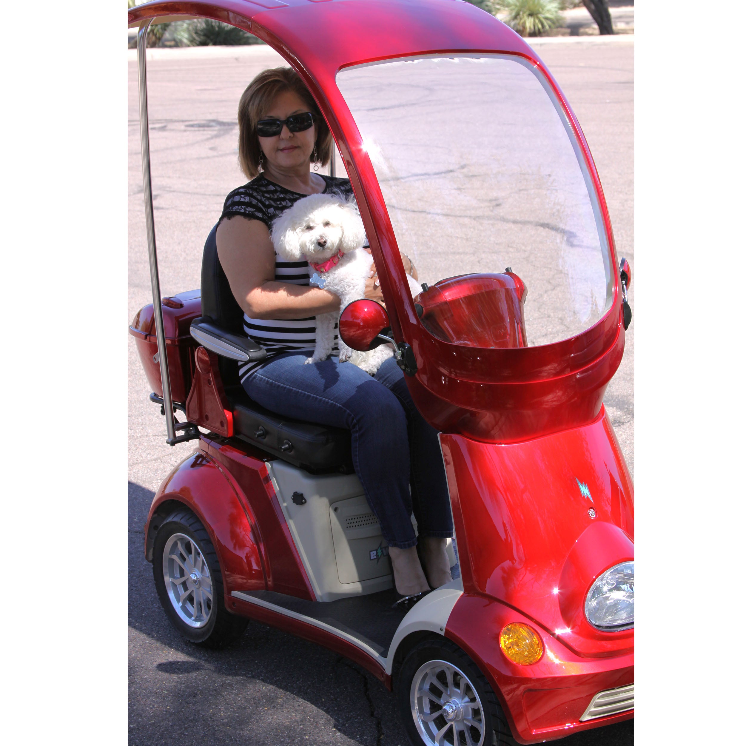 EWheels EW-54 Full Covered 4-Wheel Mobility Scooter