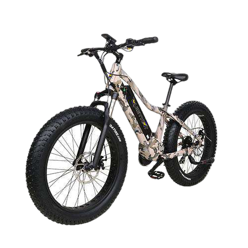 QuietKat 18QKM750CCHM-LT-CAM Zion 750W 48V 26