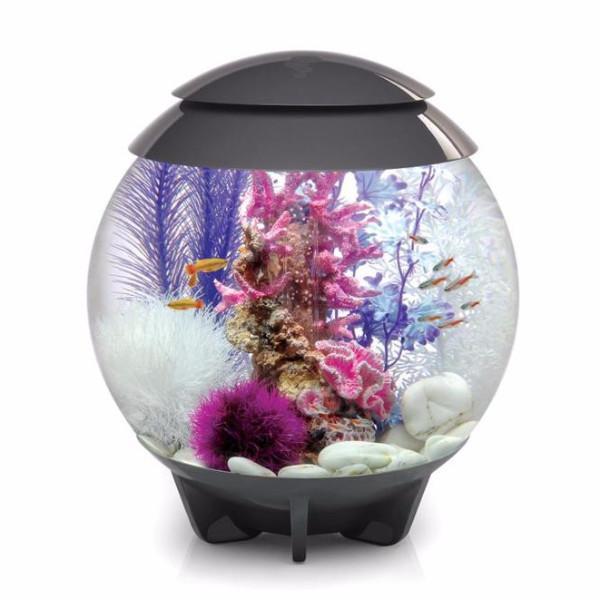 biOrb Halo 30L / 8 Gallon All-in-One Acrylic Aquarium Kit with Multicolor Light