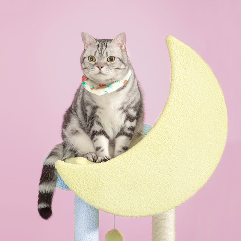 Starry Sky Cat Tree