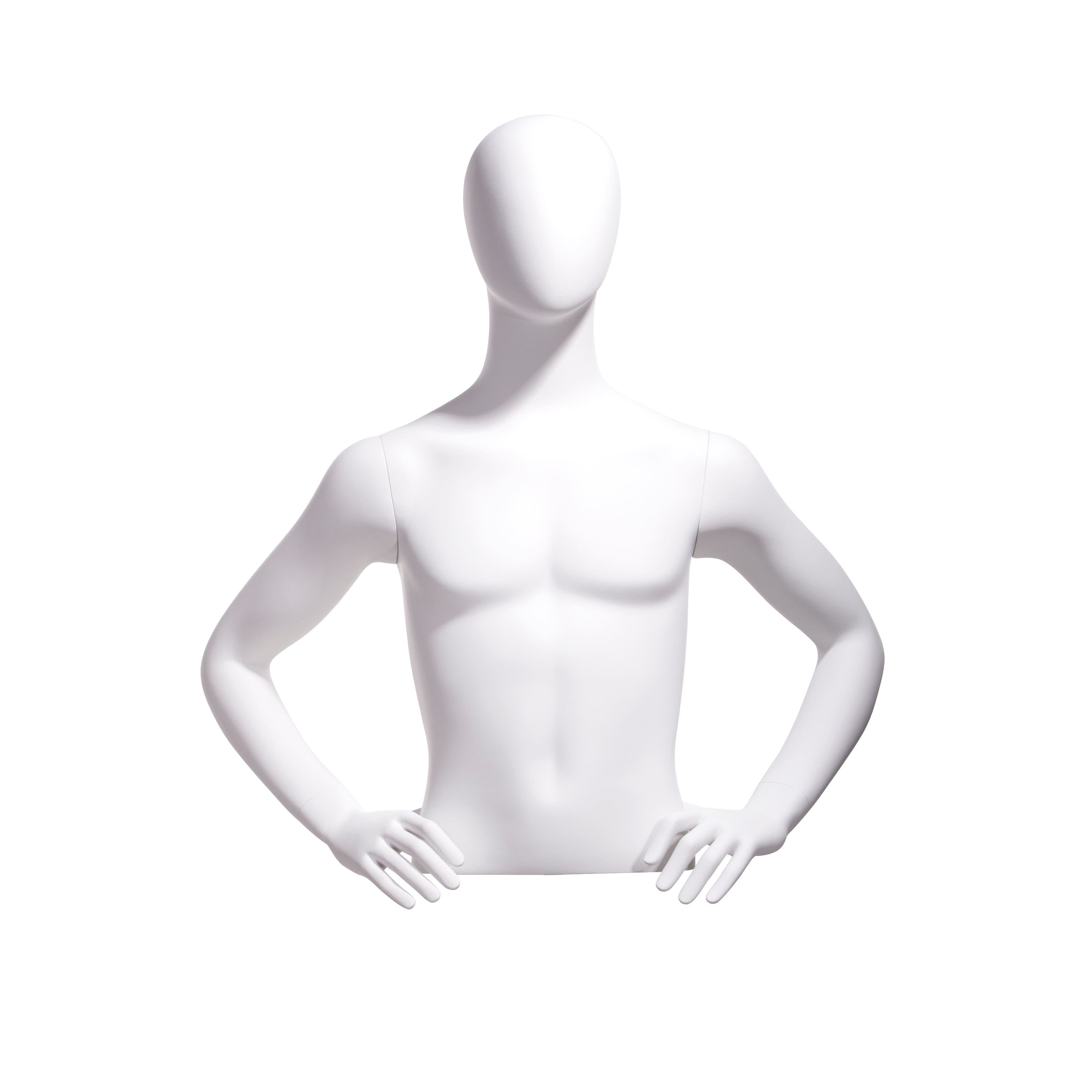 Econoco Male Bust, Oval Head, Hands on Hips