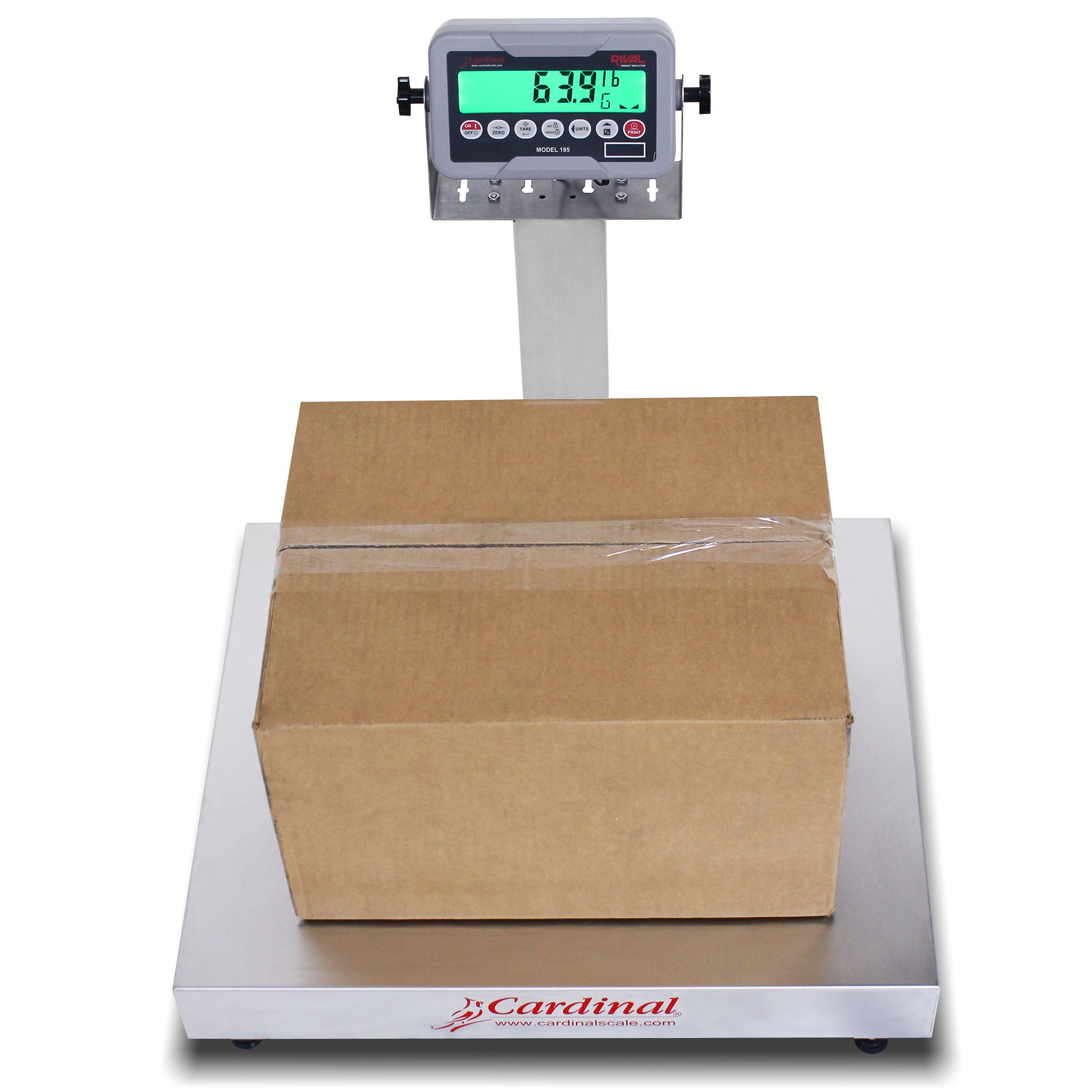 Cardinal EB-185 Series Bench Scale