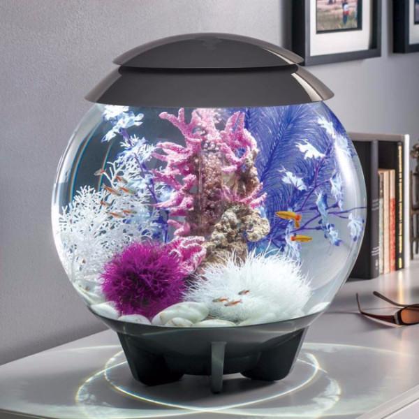 biOrb Halo 30L / 8 Gallon All-in-One Acrylic Aquarium Kit with Multicolor Light