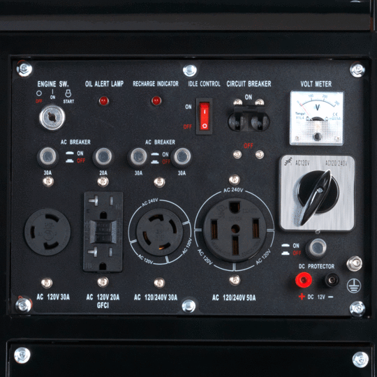 DuroStar DS10000E 8000W/10000W Gas Electric Start Generator New