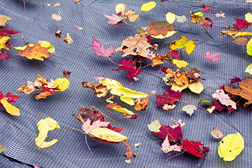 Robelle 4530 Premium Leaf Net for Round Above Ground Swimming Pool Covers, 30-ft. Round Pool