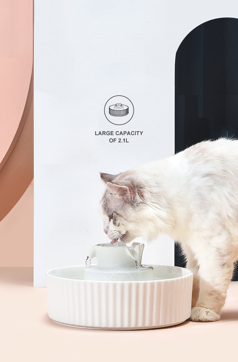 Colorful Cake Cat Water Fountain