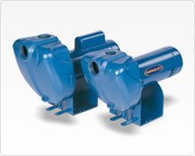 Pentair 25LTHH Berkeley LTHH-Series Self-Priming Centrifugal Pool and Spa Pump, 2-1/2 HP