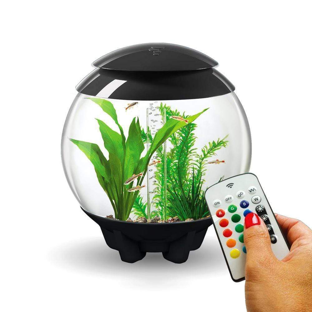 biOrb Halo 15L / 4 Gallon All-in-One Acrylic Aquarium Kit with Multicolor Light