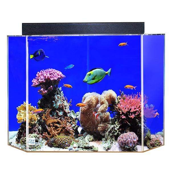 Clear For Life Corner UniQuarium 3-in-1 Pentagon Fresh or Saltwater Acrylic Aquarium