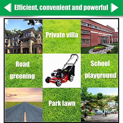 TKHHC Self-Propelled Gas Powered Lawn Mower with Bagger with 4-Stroke Engine, 20-inch & 173CC Gas Mower, 8 Adjustable Heights, 6.0HP, Perfect for Small to Medium Sized Yards,