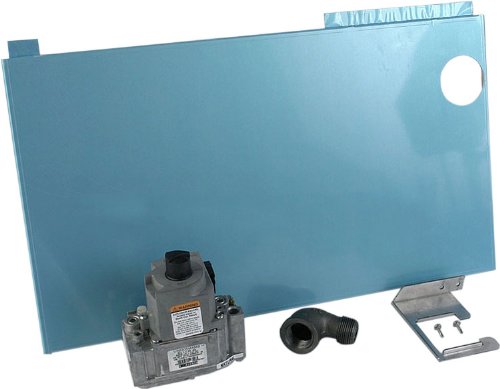 Pentair 460762 Natural Gas Valve Replacement Kit Select MiniMax NT TSI Pool and Spa Heater