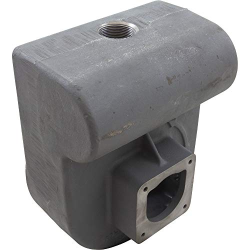 Pentair Pump Bdy 2-1/2