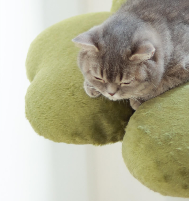 Four Leaf Clover Cat Tree