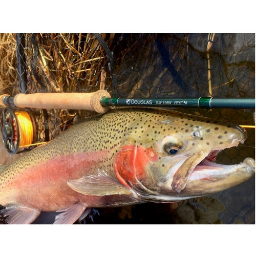 Douglas DXF Series Fly Rod - 3 Weight-12 Weight Fly Rods