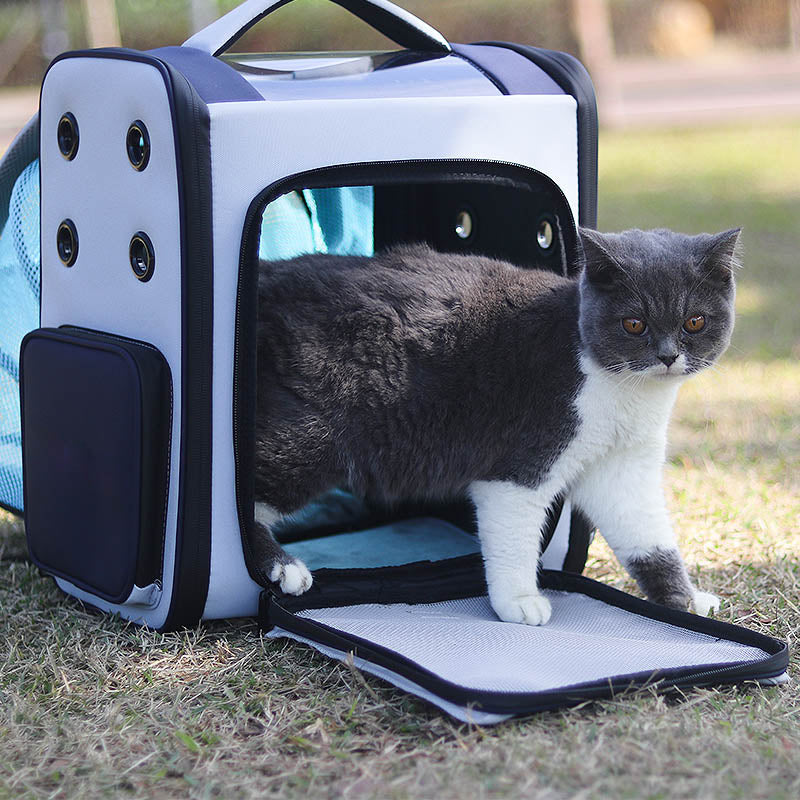 X Smile Cat Carrier