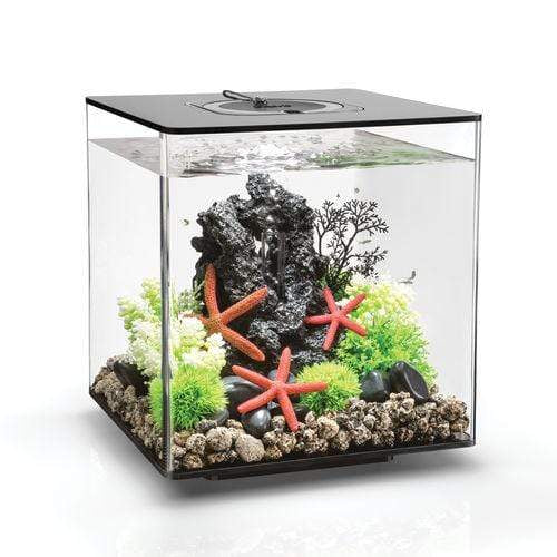 biOrb Cube 30L / 8 Gallon All-in-One Acrylic Aquarium Kit with Multicolor Light