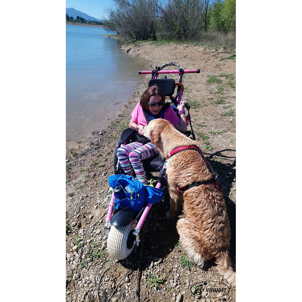 Hippocampe All-Terrain Beach Wheelchair