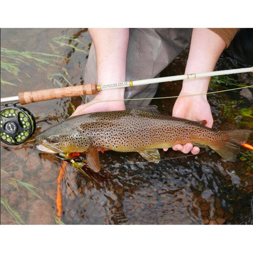 Livingston Western Glass Hand-Crafted Fly Rod