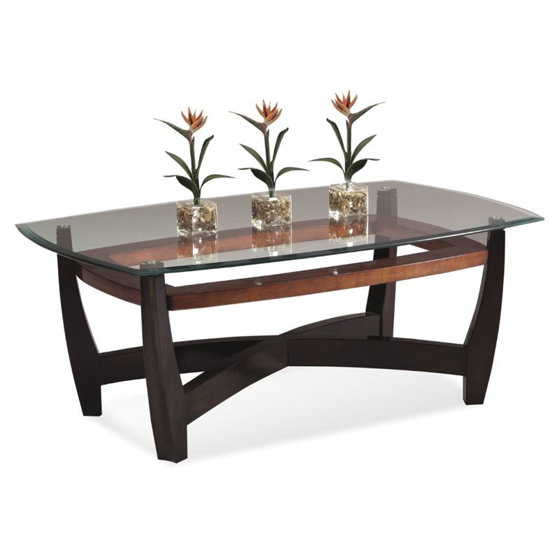 Mirror Elation Wood Rectangular Cocktail Table in Copper and Espresso
