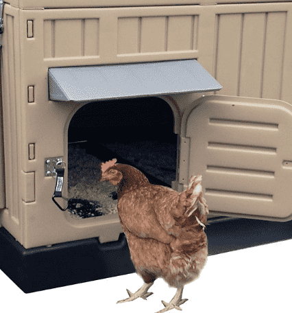 Snap Lock Formex Large Plastic Chicken Coop Up to 8 Chickens New