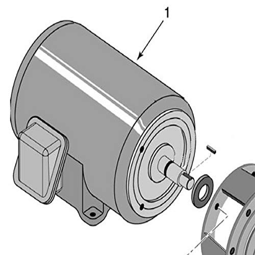 Pentair C218-180M 3-Phase Marathon Motor Replacement Pool and Spa Pump, 5 HP, 3600-RPM