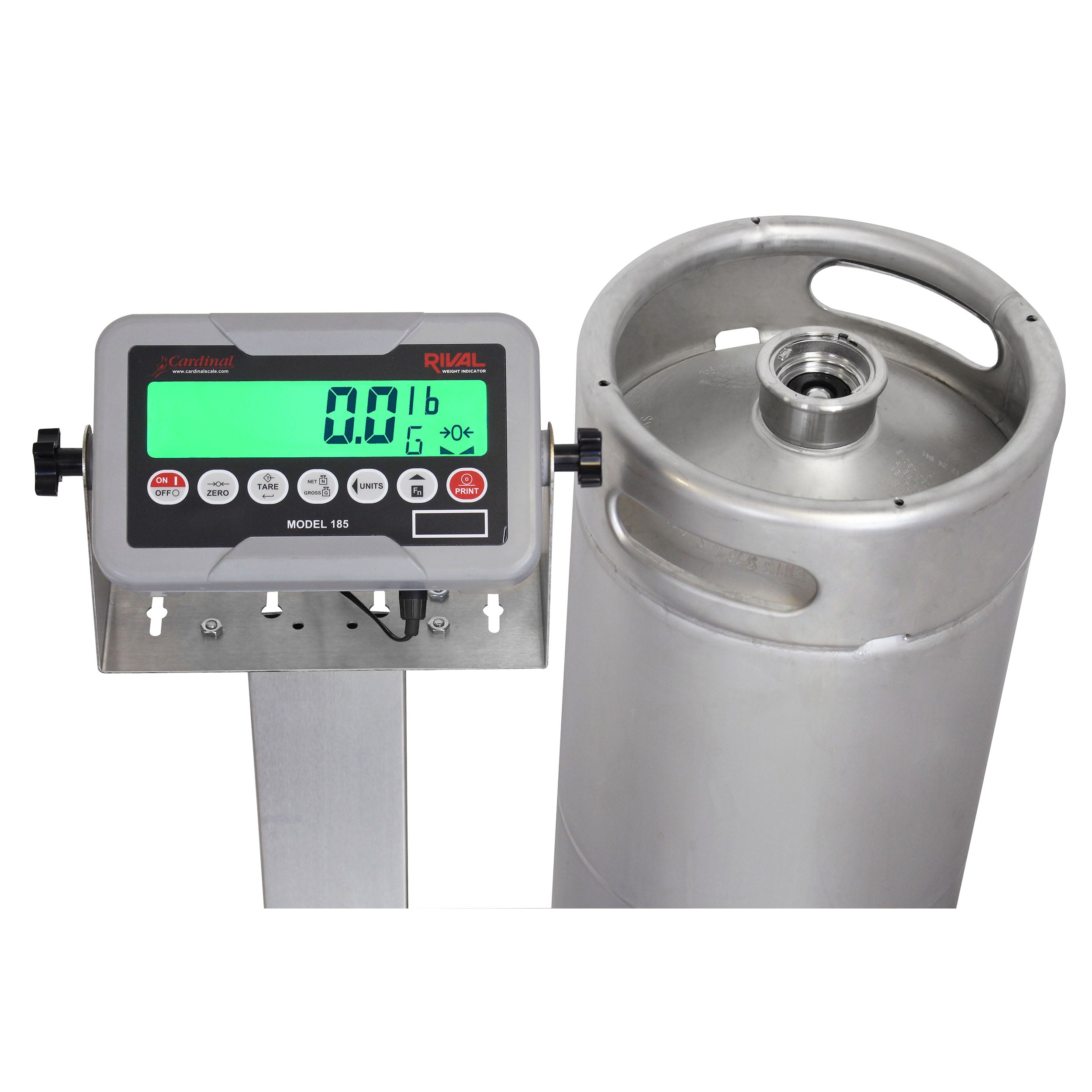 Cardinal EB-185 Series Bench Scale