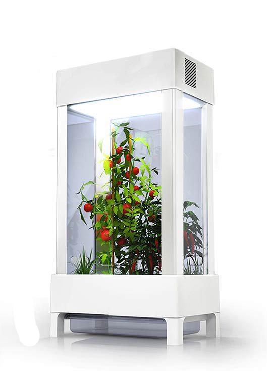 Niwa One Standard Indoor Smart Garden New