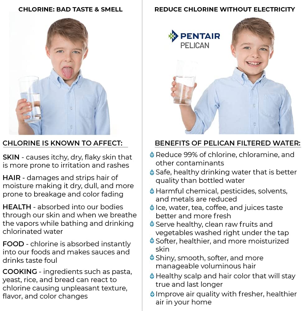 Pentair Pelican PSE2000-P Whole House Water Filtration and NaturSoft Water Softener Alternative New