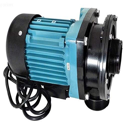 Hayward VLX4009 Pump Without Strainer Replacement for Hayward VL40T32 Sand Filter