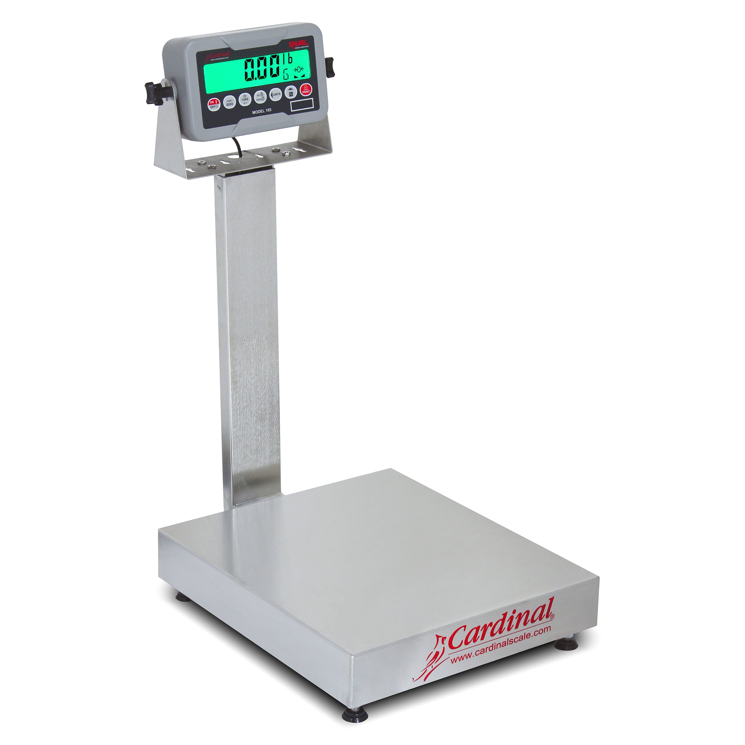 Cardinal EB-185 Series Bench Scale