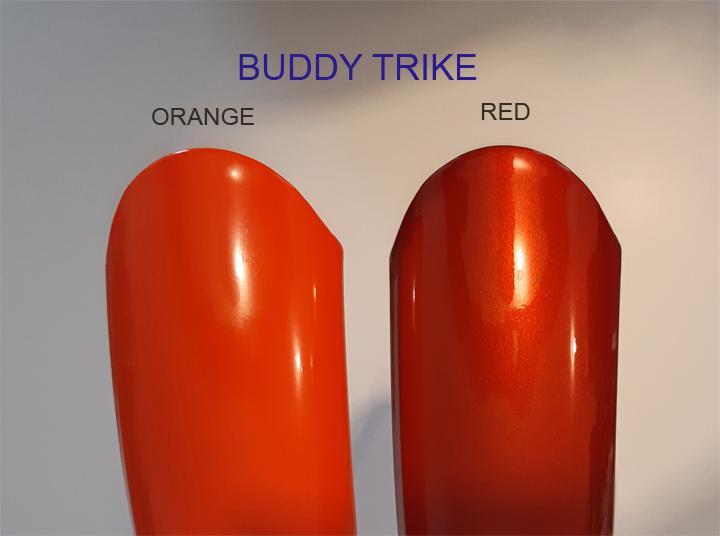 Belize Bike 96603 Tri-rider Buddy Trike 20